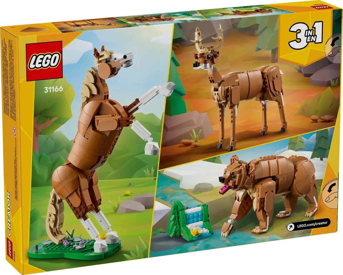 Beautiful Horse 3in1