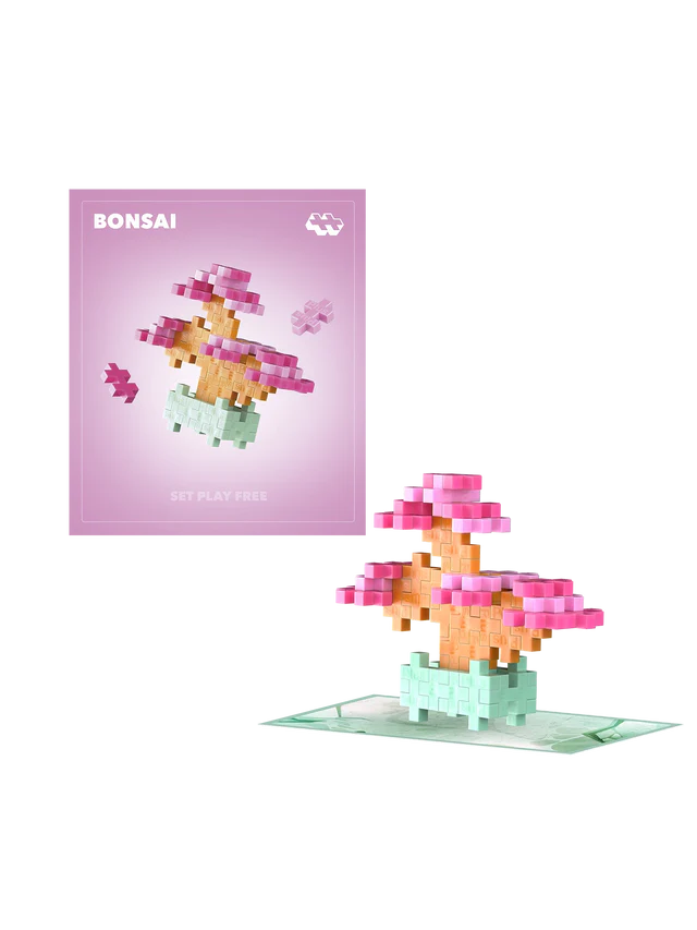 Plant Pack - Blissful Bonsai