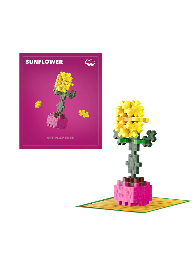 Plant Pack - Sociable Sunflower