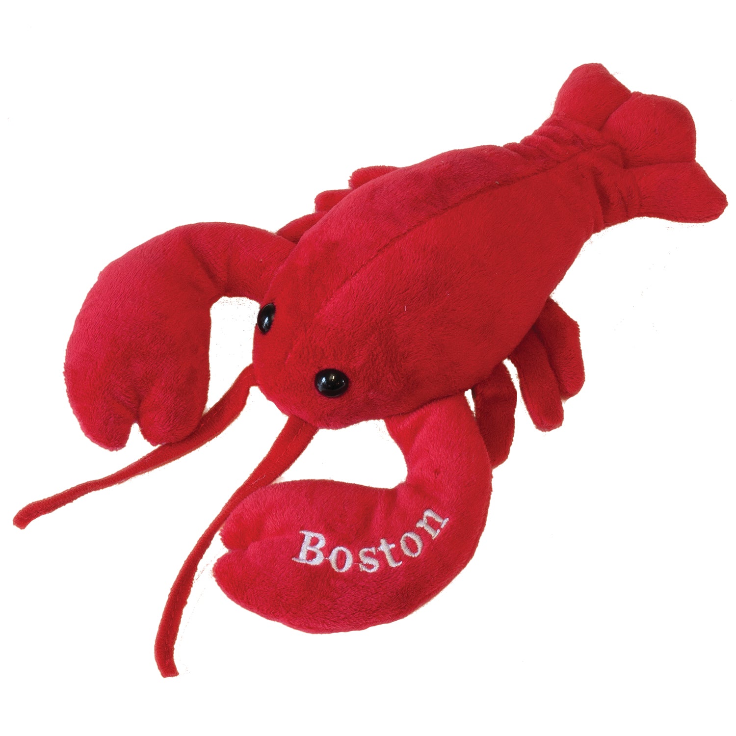 Small Boston Lobbie Lobster