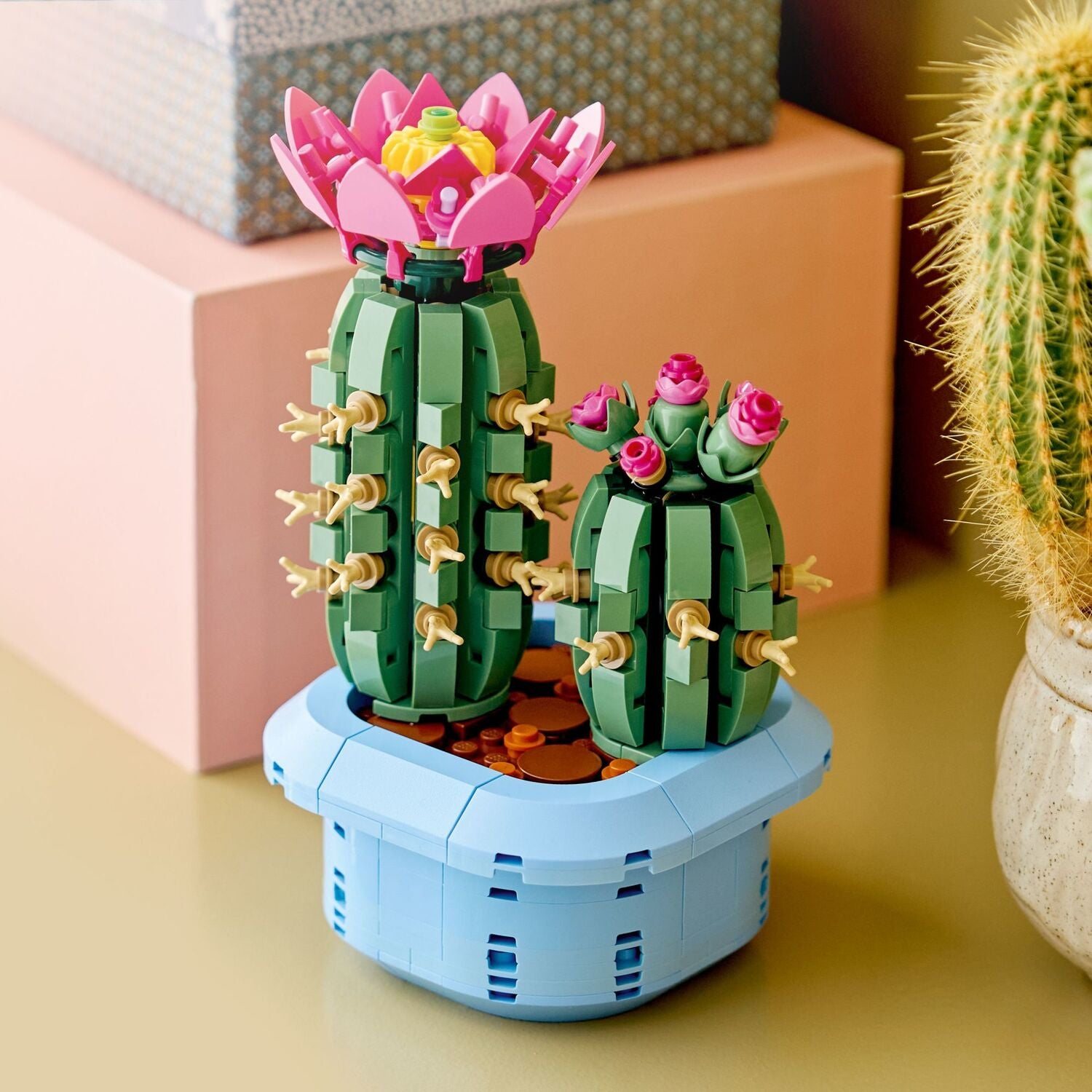 Flowering Cactus