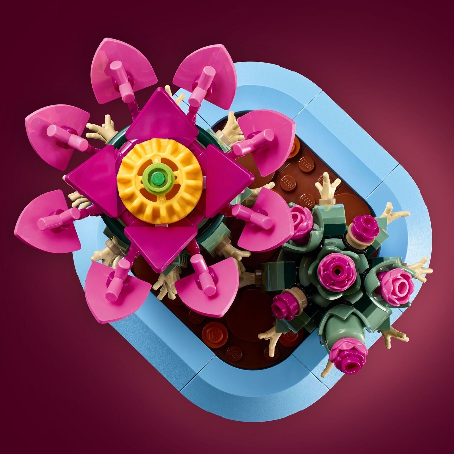 Flowering Cactus