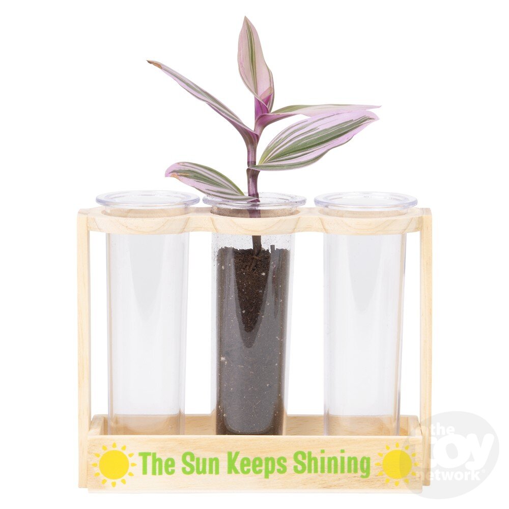 Root Viewer Science Kit