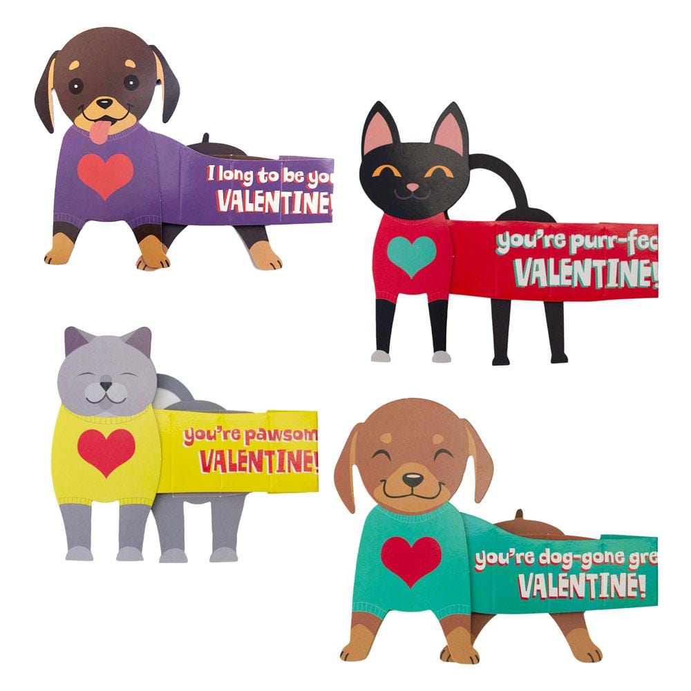 Super Stretch Pets Valentine Cards Set