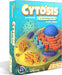 Cytosis A Cell Biology Game