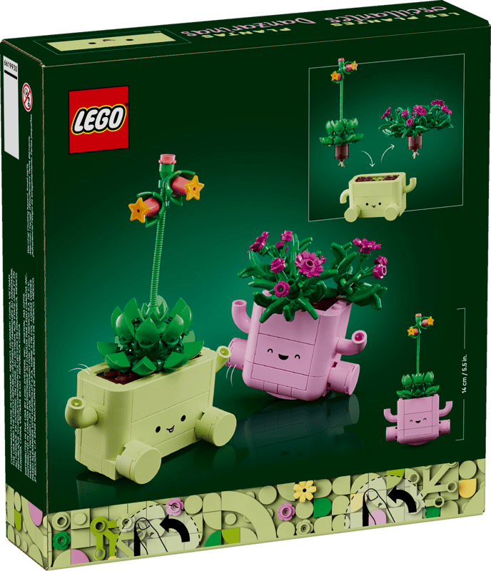 Rocking Plants