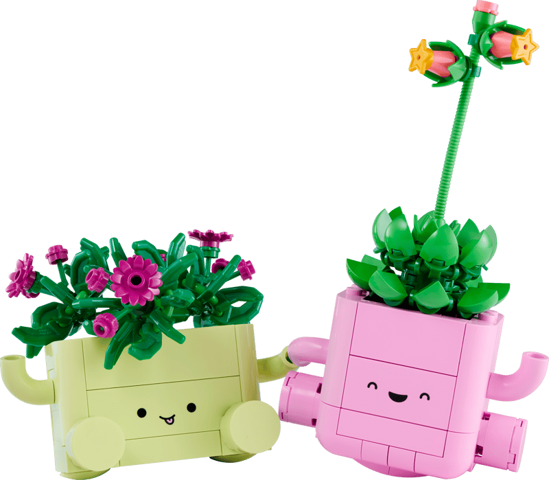Rocking Plants
