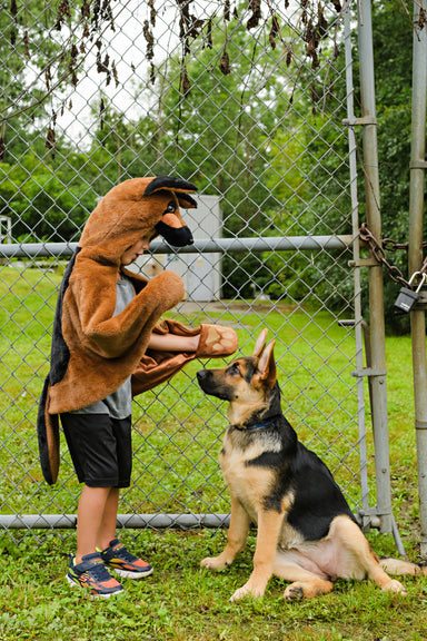 German Shepherd Dog Cuddle Cape (size 5-6)