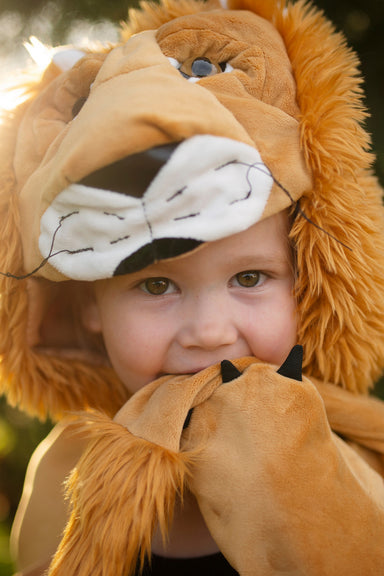 Storybook Lion Cape (Size 4-6)