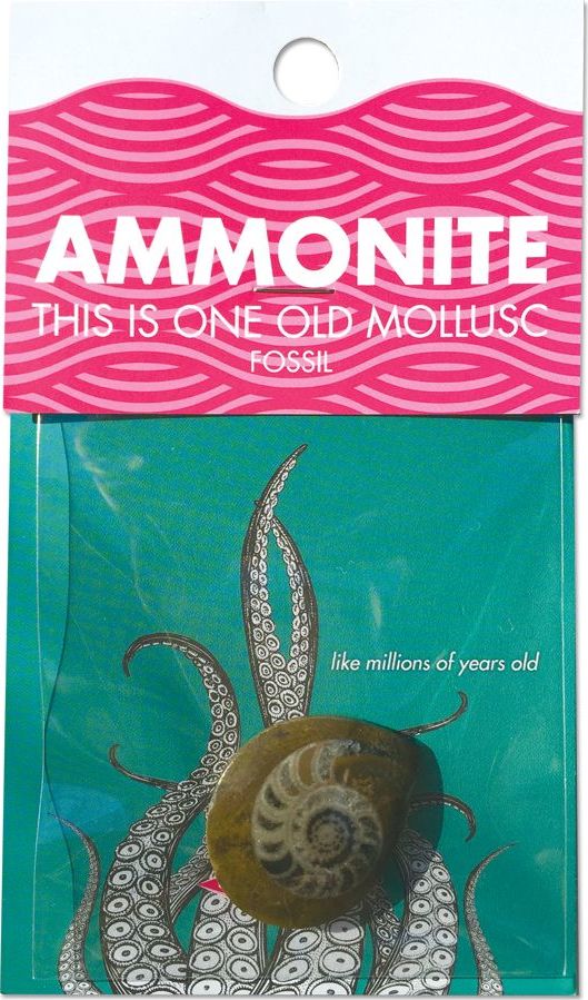 Cc: Ammonite