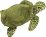 Tillie Sea Turtle