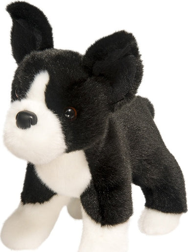 Myrtle Boston Terrier