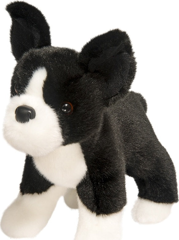 Myrtle Boston Terrier