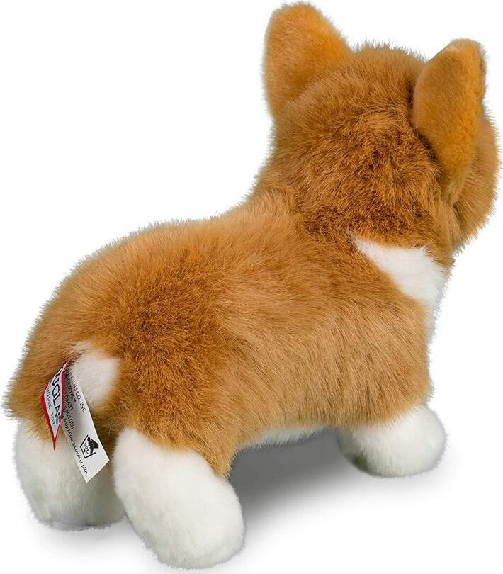 Louie Corgi