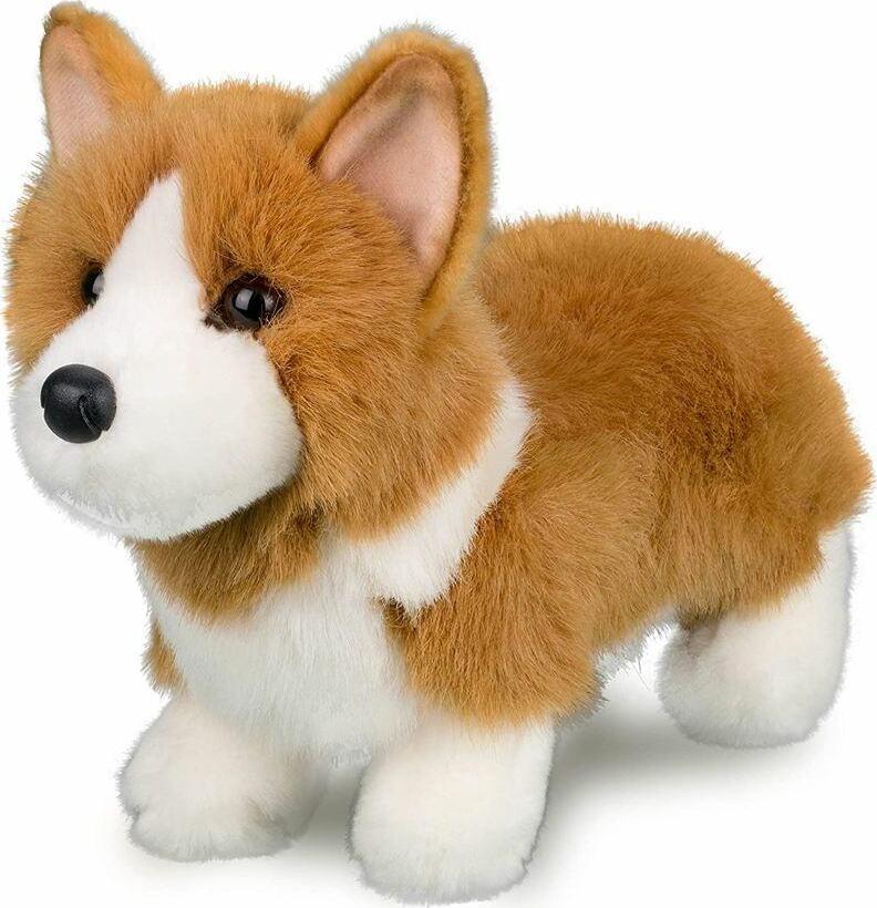 Louie Corgi