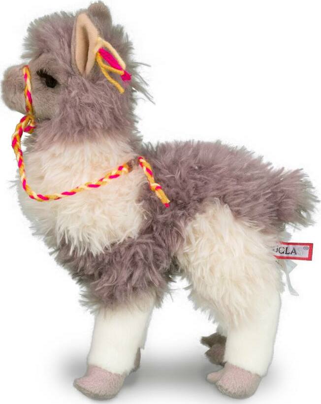 Zephyr Llama