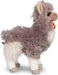 Zephyr Llama
