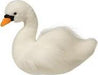 Savannah Swan