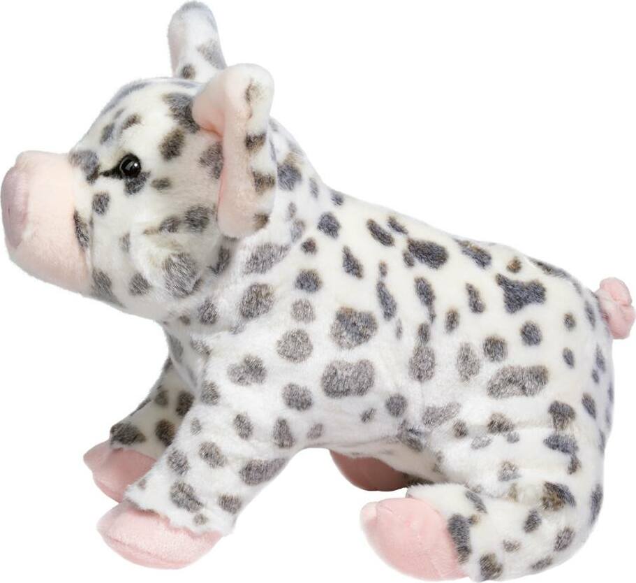 Pauline Spotted Pig, Medium