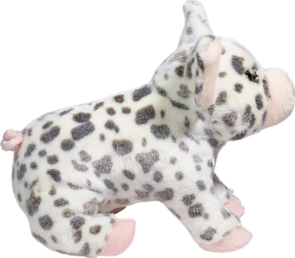 Pauline Spotted Pig, Medium