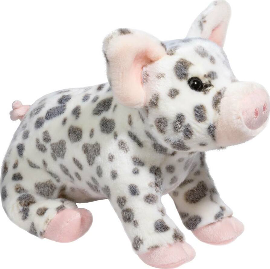 Pauline Spotted Pig, Medium