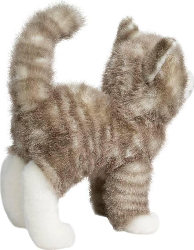 Zipper Gray Tabby Cat