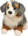 Sinclair Australian Shepherd