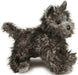 Hazel Cairn Terrier
