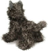 Hazel Cairn Terrier