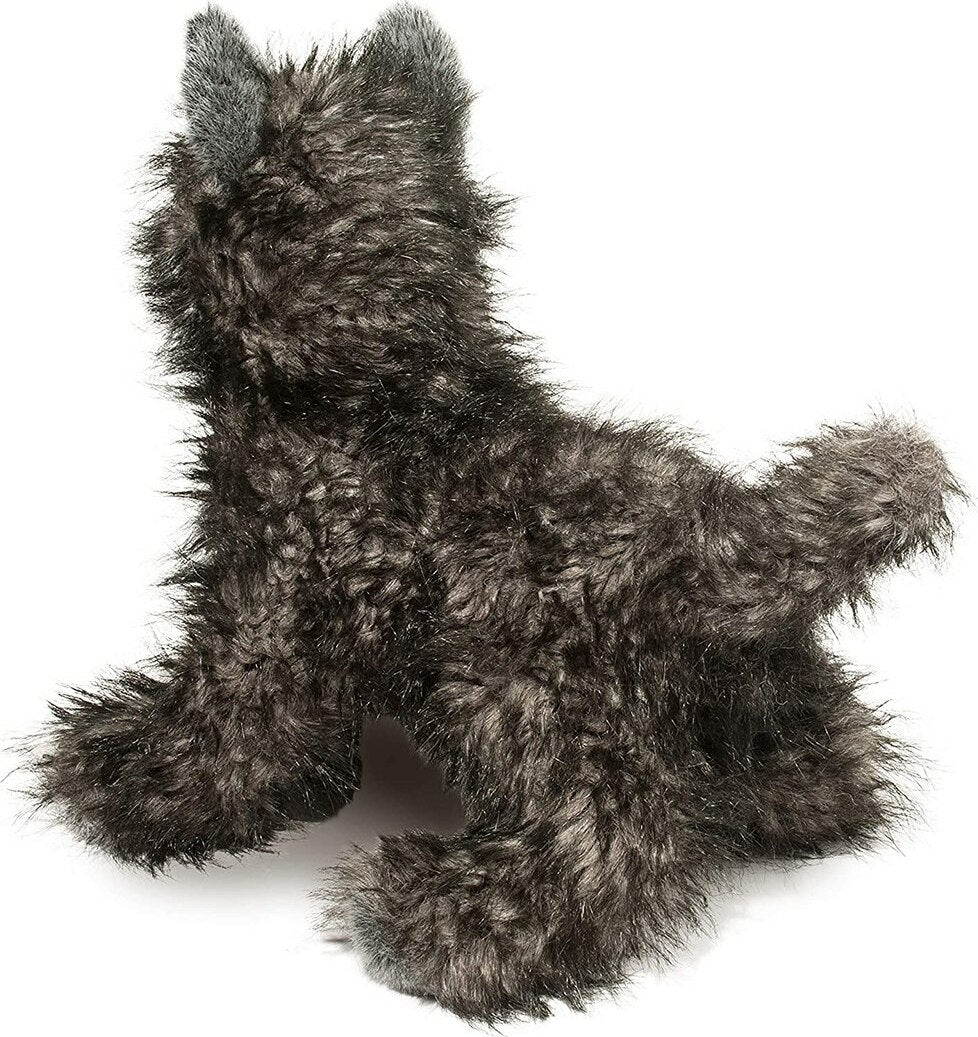 Hazel Cairn Terrier
