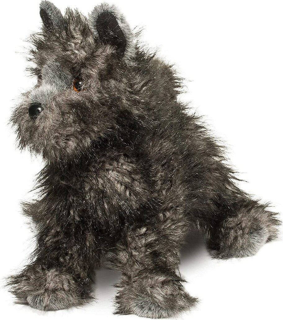 Hazel Cairn Terrier