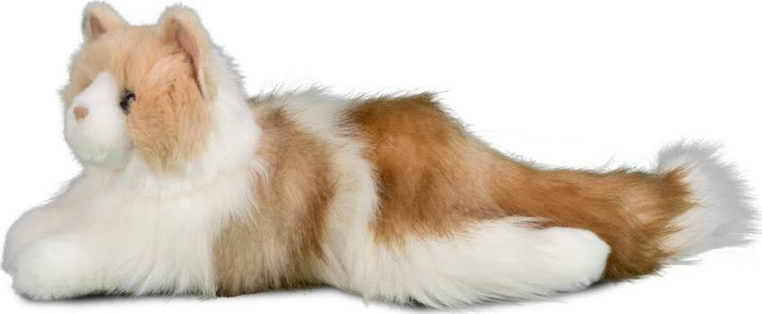 Kiki Ragdoll Cat