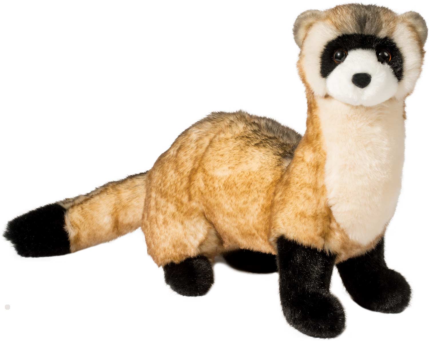 Vince Black Footed Ferret