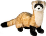 Vince Black Footed Ferret