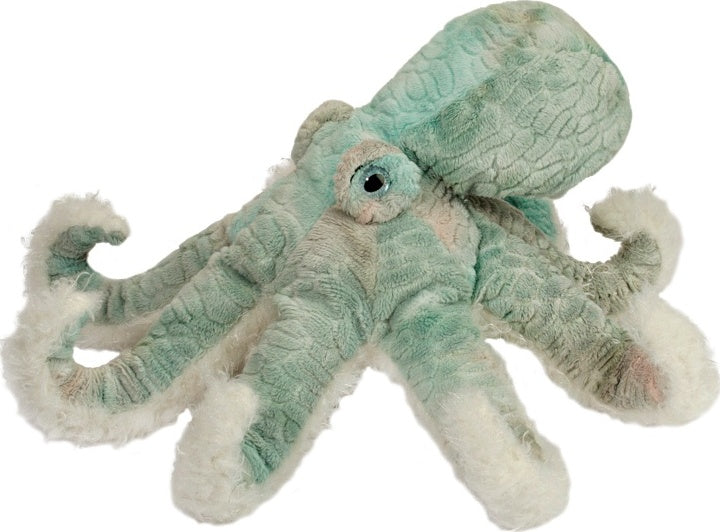 Winona Octopus
