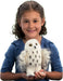 Wizard Snowy Owl
