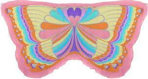 Pink Rainbow Butterfly Wing