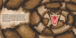 Lifesize Deadly Animals