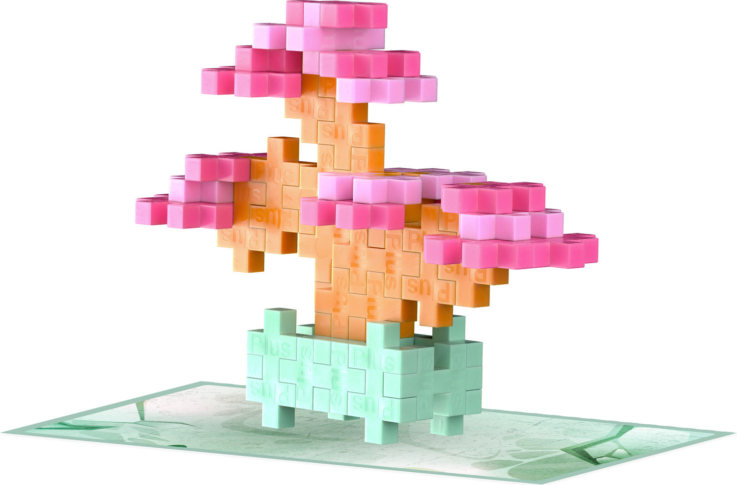 Plant Pack - Blissful Bonsai