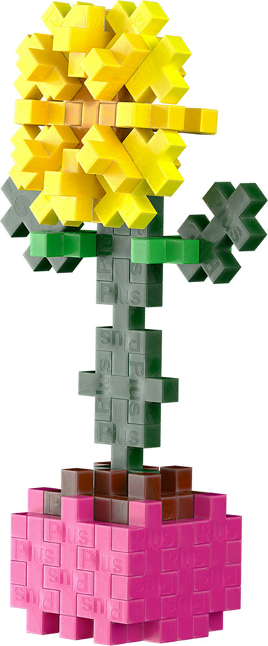 Plant Pack - Sociable Sunflower