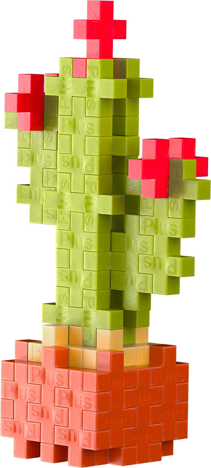 Plant Pack - Calm Cactus