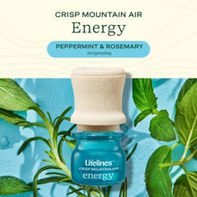 Grounding Stone & Oil Set - Peppermint & Rosemary