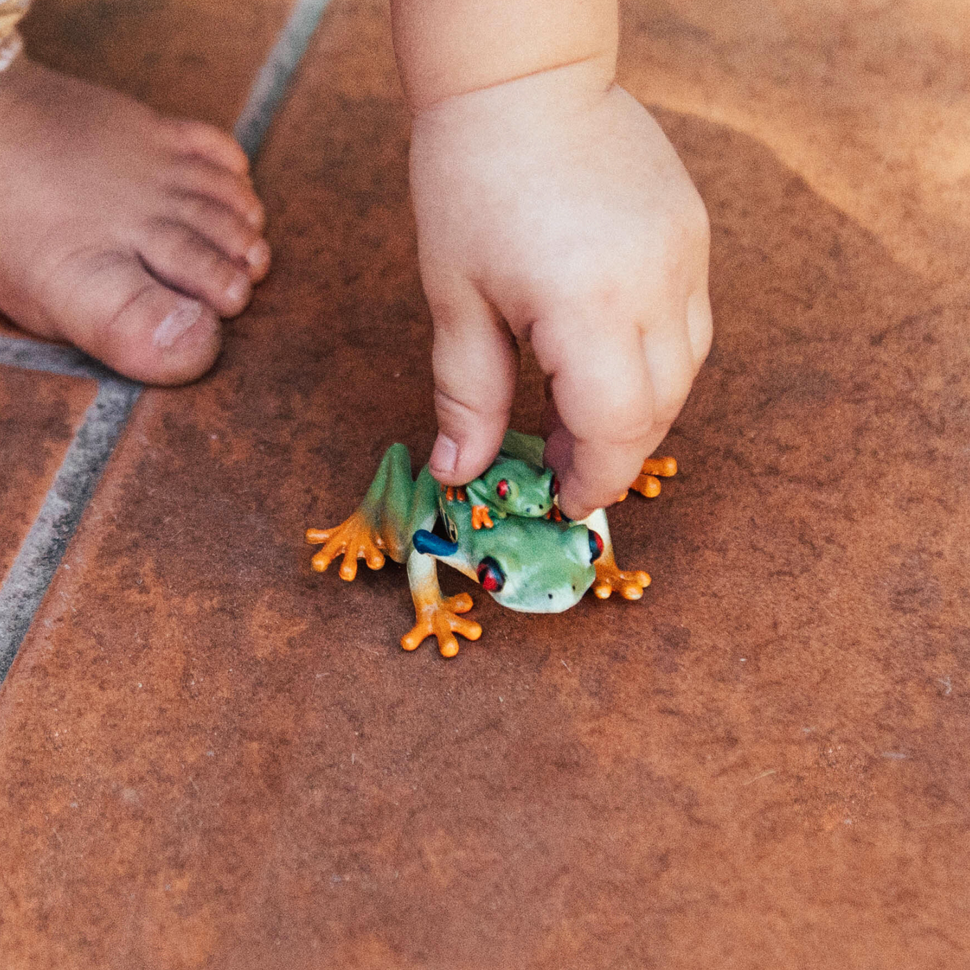 Red-Eyed Tree Frog Figurine