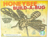 Wooden Build-a-Bug Kit (Assorted Colors)