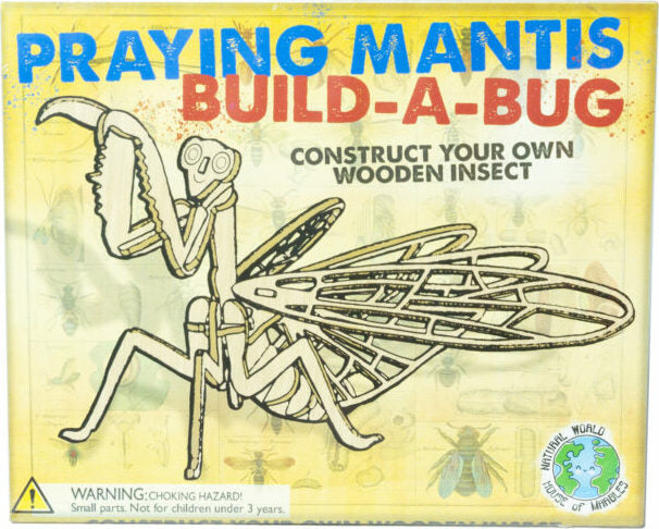 Wooden Build-a-Bug Kit (Assorted Colors)