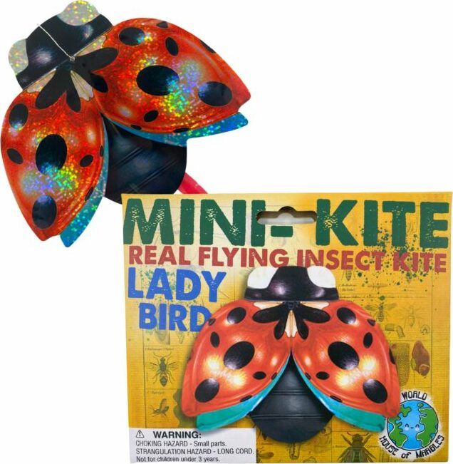 Ladybug Mini Flying Insect Kite