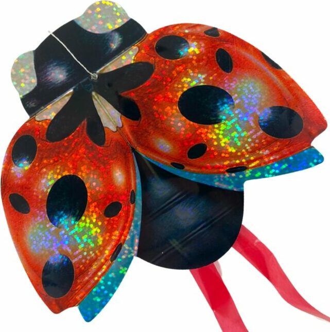 Ladybug Mini Flying Insect Kite