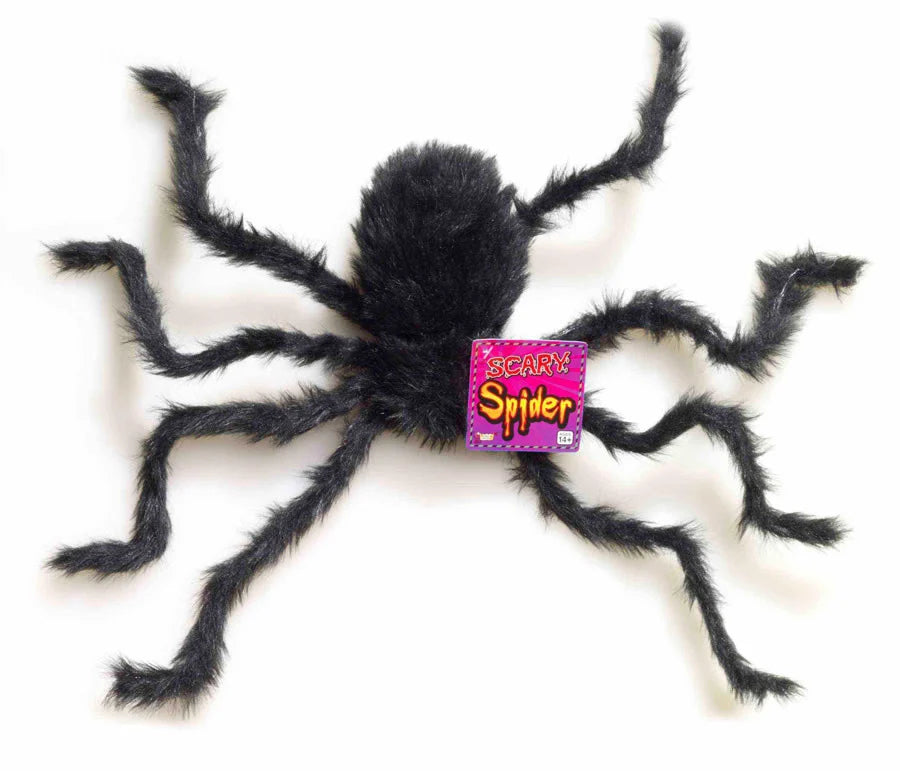 Hairy Spider