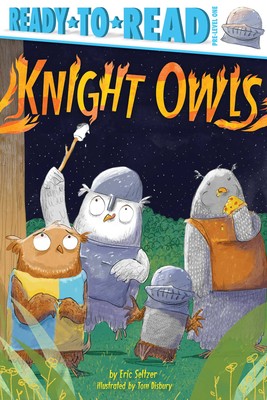 Knight Owls - Ready-to-Read Pre-Level 1