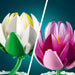 LEGO® Botanicals Water Lilies